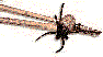 Teek-2